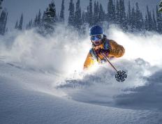 开云体育官网-王者归位，福克斯逆流而上，绝境封神