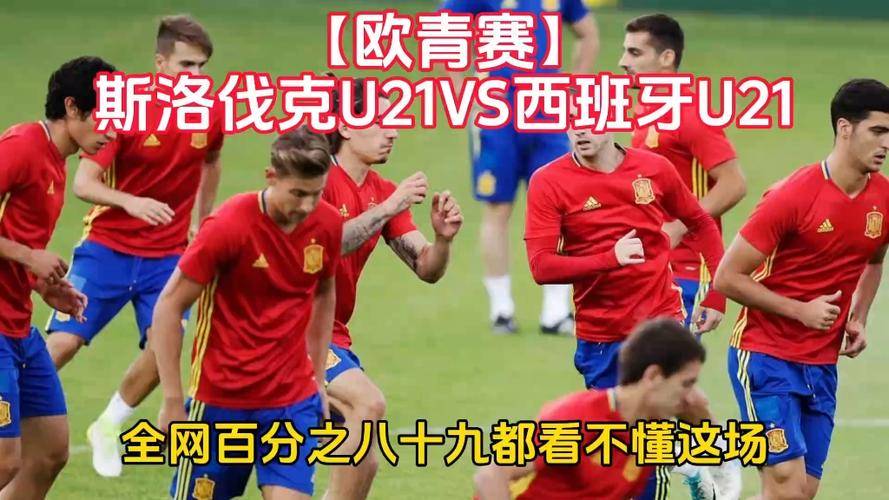 开云体育-斯洛伐克队晋级欧锦赛，挺进胜利之路