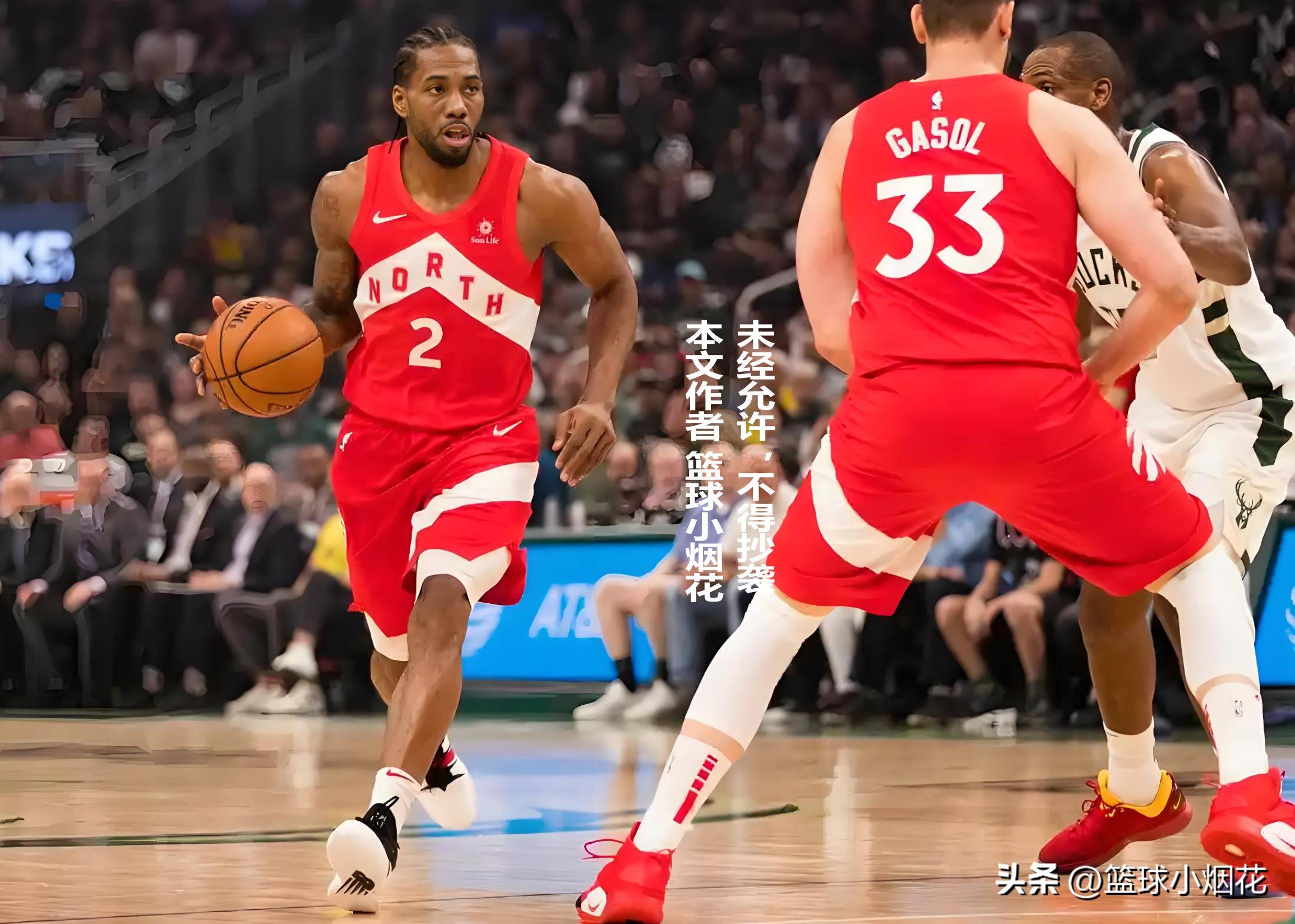 开云下载-猛龙队实力不减,将继续争夺总冠军