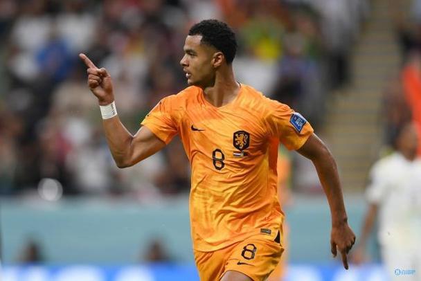 开云体育APP下载-包含荷兰队以惊人的实力横扫波黑，晋级前景看好的词条