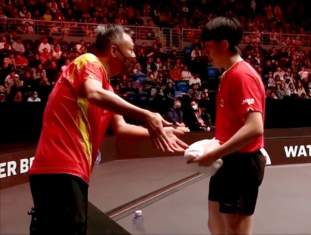 开云官网-比利时乒乓球队鏖战韩国乒乓球队，波尔送出助攻的简单介绍