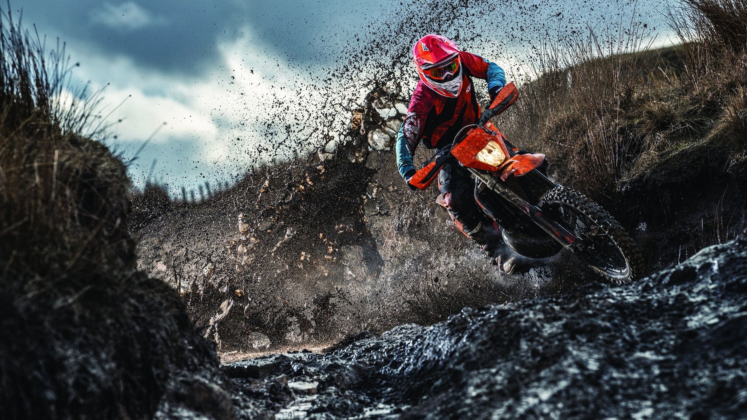 开云平台-藏獒之瞳,张继科反手绝杀之夜