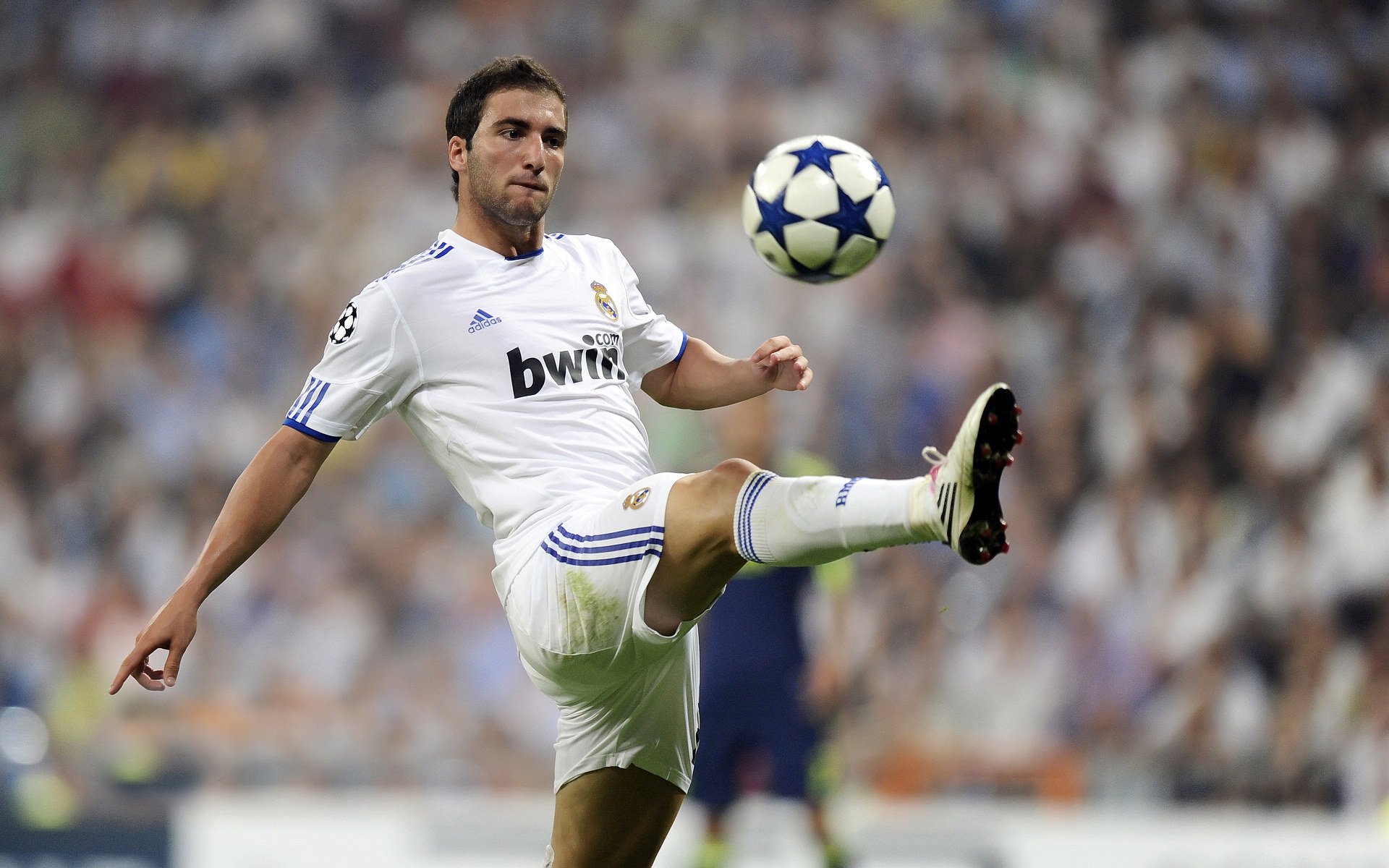 开云官网-逆转与统治,双面亚洲力量